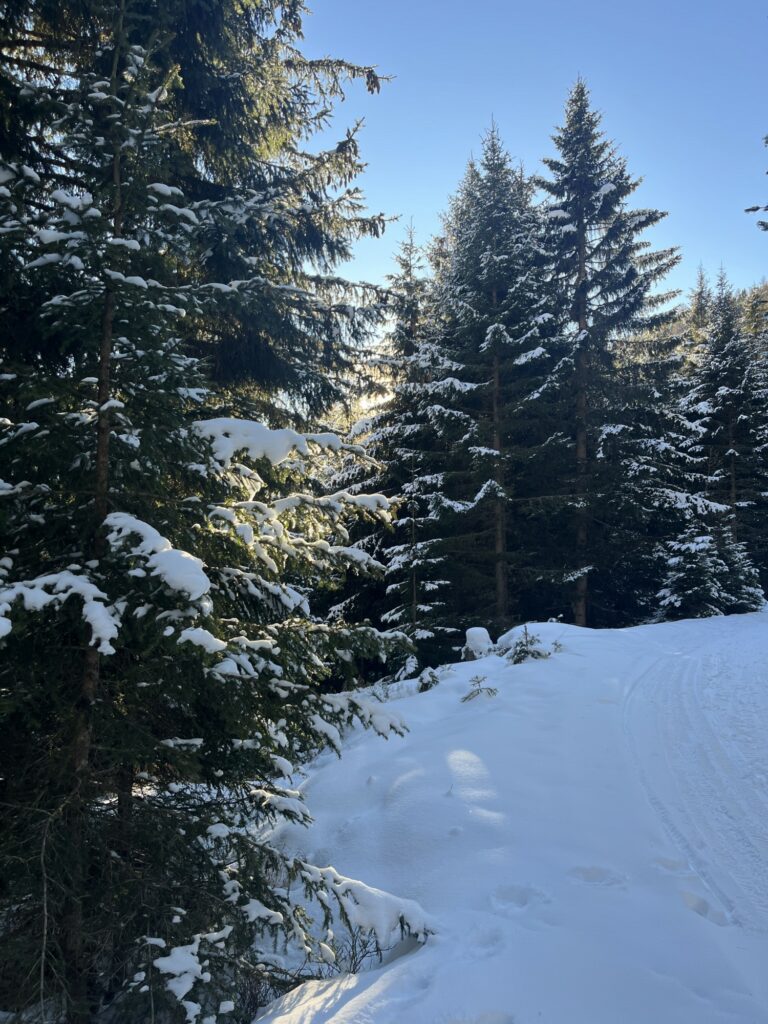 Stubai5